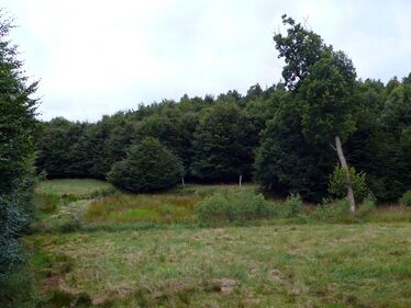 Landschaftschutzgebiet Feldberger Hütte